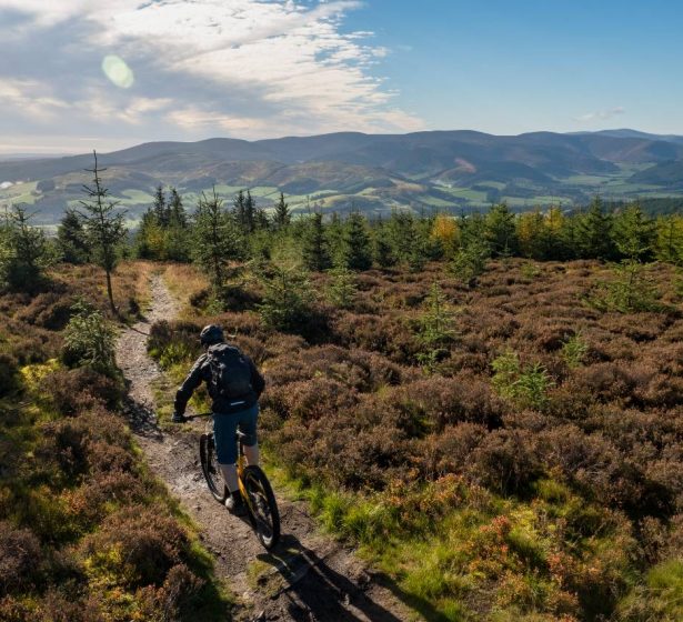 100134-glentress-forest-lowres