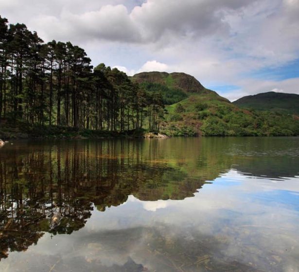 121114092_2918176998407061_7195579148104668592_n