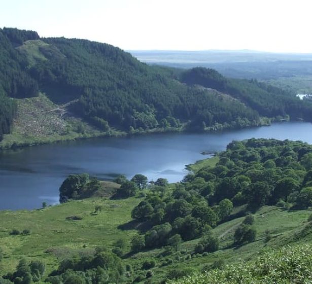 484534489_1196009412525828_8419506334722770442_n