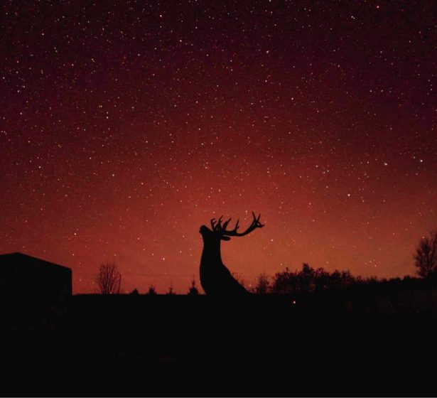 490080632_1223369209789848_6380170676588656825_n