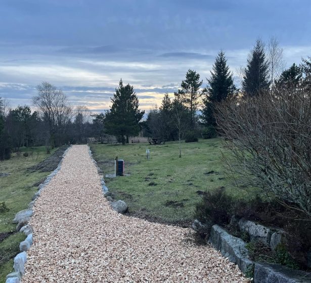 493157441_1240026588124110_7828889206072823223_n