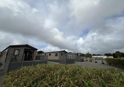 493319319_1240081201451982_7467401366096956187_n