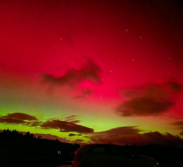 WhatsApp Image 2026-01-20 at 13.31.56 (1)