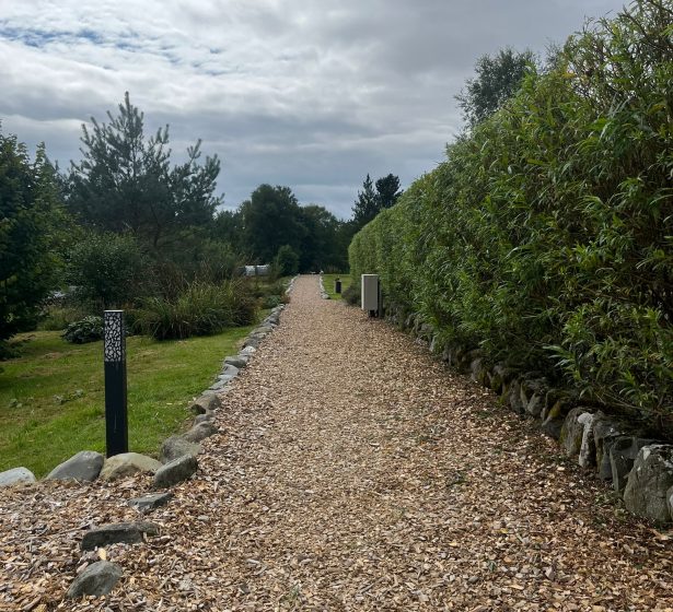 dog walk area facilities page