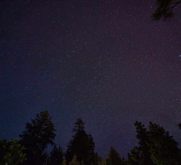 Starry,Night,Sky,With,Silhouetted,Coniferous,Trees,In,Sedona